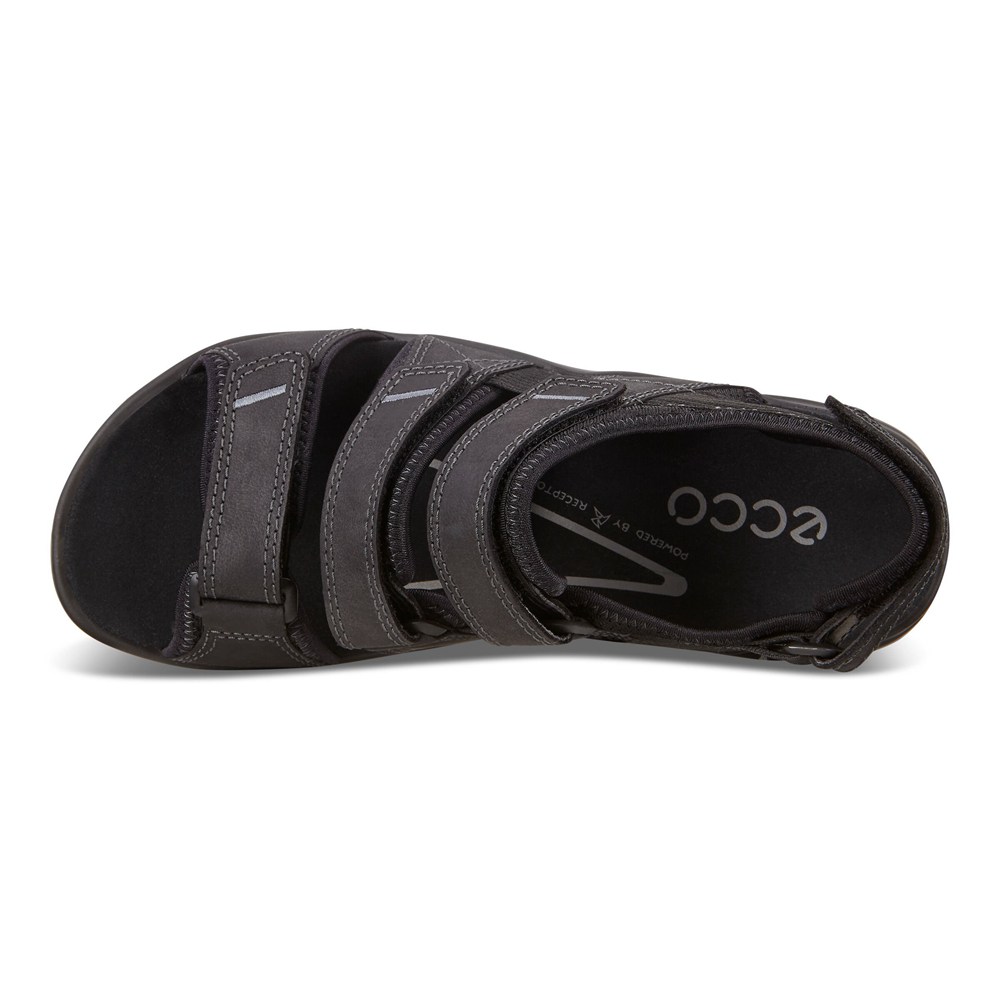Mens Sandals - ECCO Offroad Flat - Black - 9750RKEZS